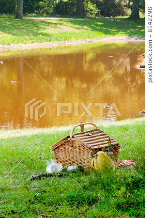 Picnic basket in summer 8142298