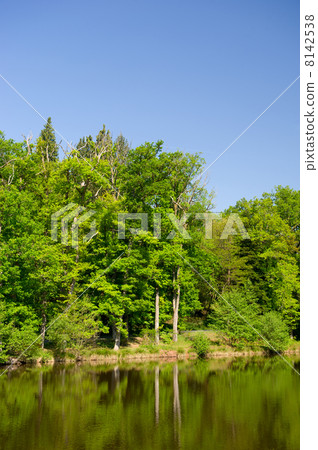 River in landscape River in landscape 8142538