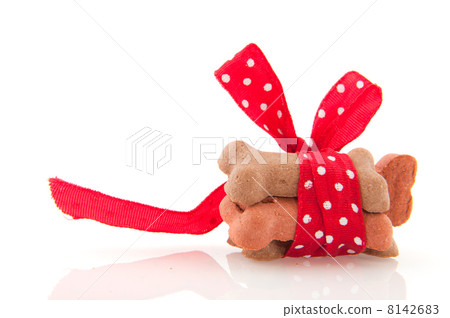 Surprise for dog 8142683