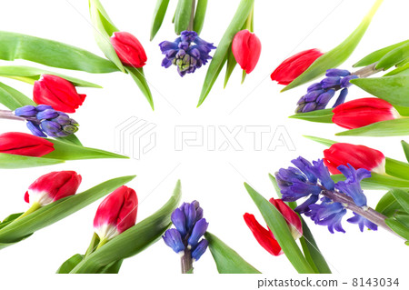 Bouquet red tulips Bouquet red tulips 8143034