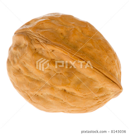 Walnut Walnut 8143036