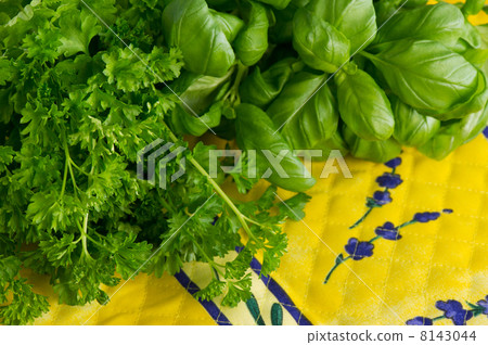Fresh parsley and basil 8143044
