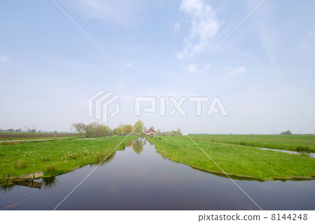 Dutch landscape with farm house Dutch landscape with farm house 8144248