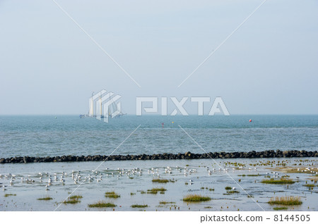 Coast with sailboat 8144505