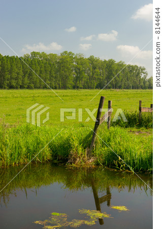 Dutch landscape 8144644
