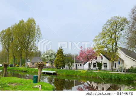 Typical Dutch farmhouses 8144678