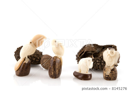 products from tagua products from tagua 8145276