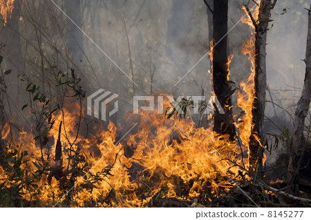 nature disaster nature disaster 8145277