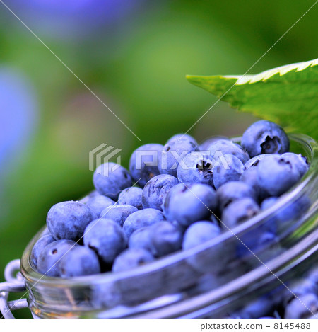 Blue berries Blue berries 8145488