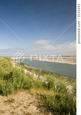 ebb tide ebb tide 8145643
