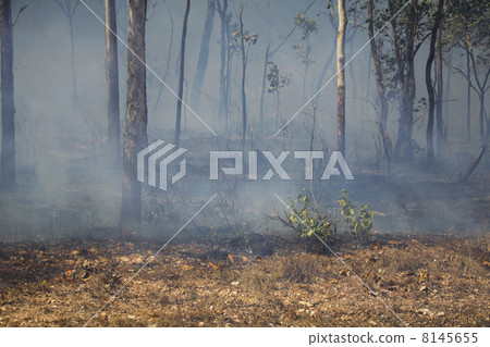 smoke after the fire 8145655