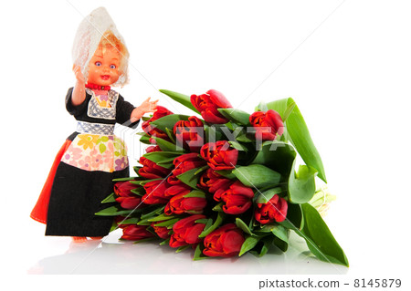 Dutch tulips 8145879