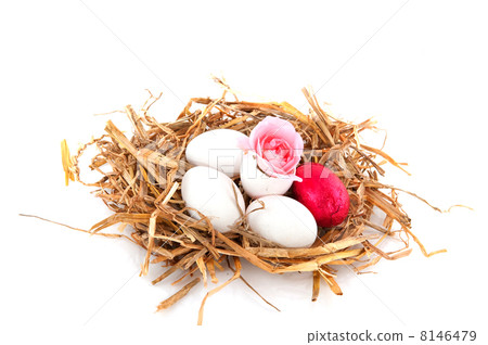 easter nest 8146479