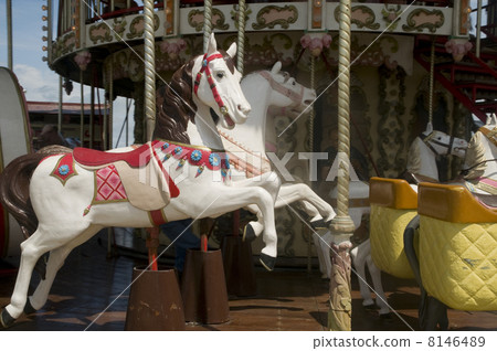 horses 8146489
