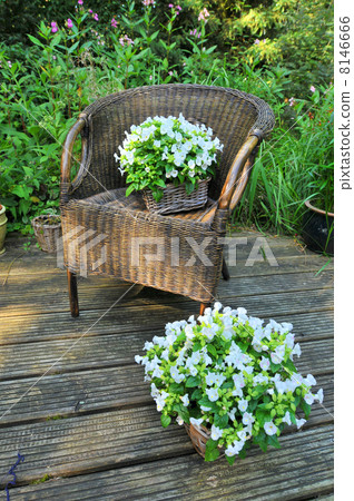 Decoration chair Decoration chair 8146666