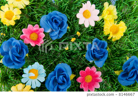 Flowers in the grass Flowers in the grass 8146667