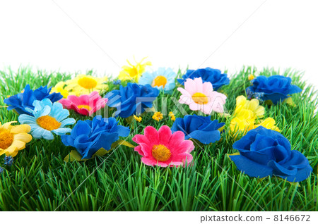 Green grass with colorful flowers Green grass with colorful flowers 8146672