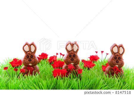 Green grass with chocolate easter hares 8147518