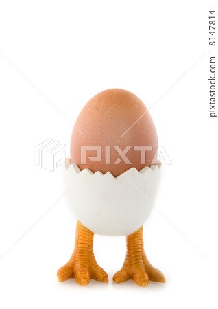 Egg in cup Egg in cup 8147814