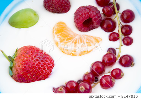 Yogurt with fruit 8147816