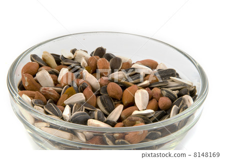 bird-seed bird-seed 8148169