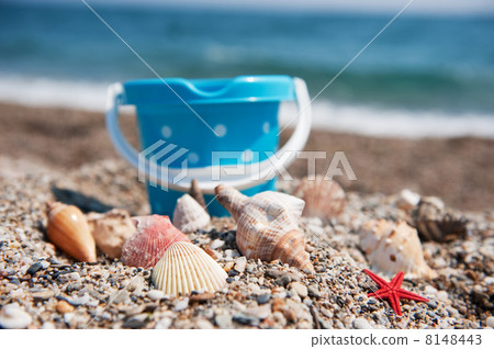 Shells and toys 8148443