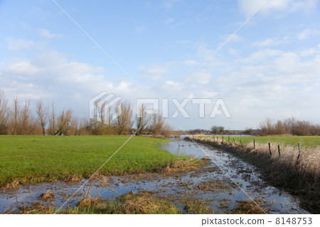 Dutch landscape 8148753