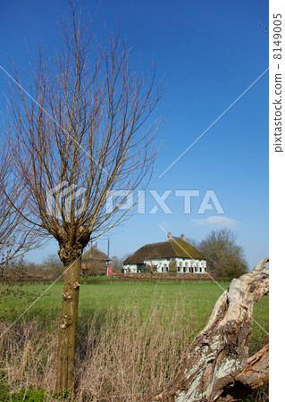 Farmhouse in Dutch landscape Farmhouse in Dutch landscape 8149005
