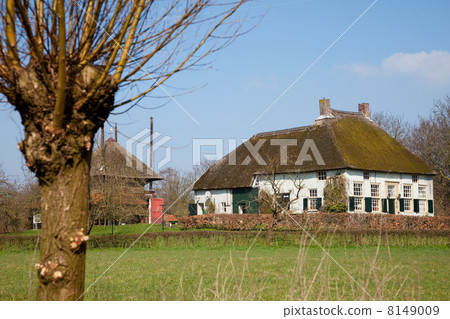Farmhouse in Dutch landscape Farmhouse in Dutch landscape 8149009