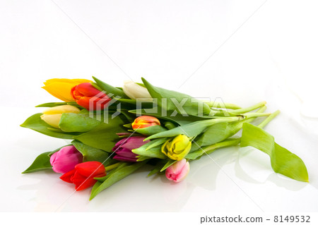 bouquet colored tulips bouquet colored tulips 8149532