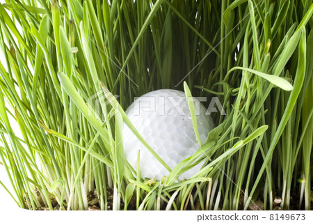 Golfball Golfball 8149673