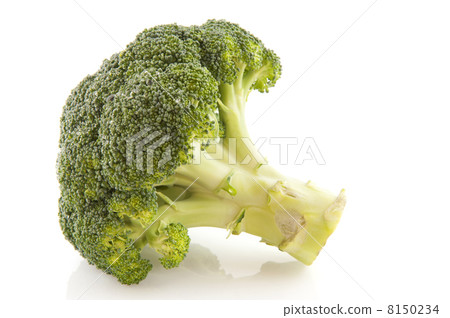 Fresh broccoli 8150234
