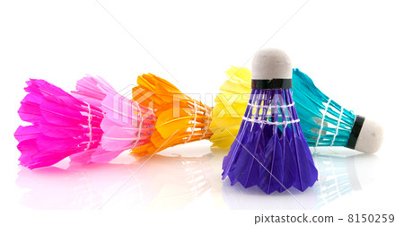 Badminton 8150259