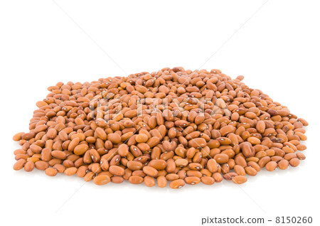 Brown beans 8150260