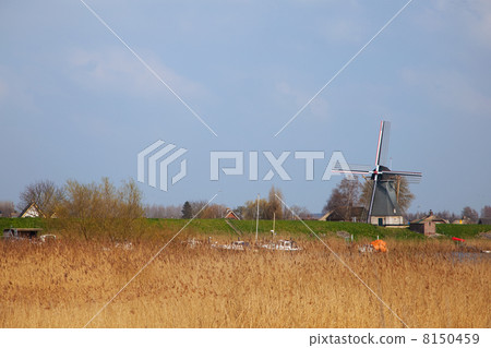 Dutch windmill 8150459