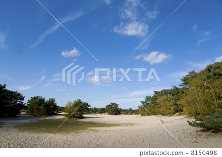 Soesterduinen Soesterduinen 8150498