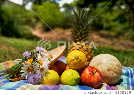 Fresh summer fruit Fresh summer fruit 8150559