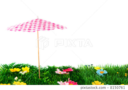summer 8150761