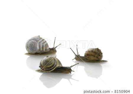 An other direction 8150904