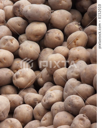 Potatoes Potatoes 8152010
