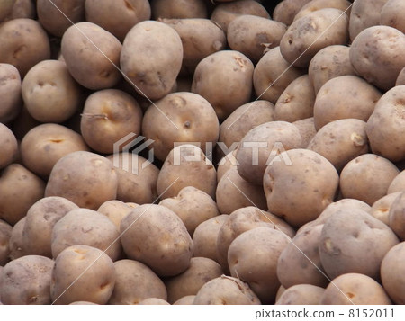 Potatoes Potatoes 8152011