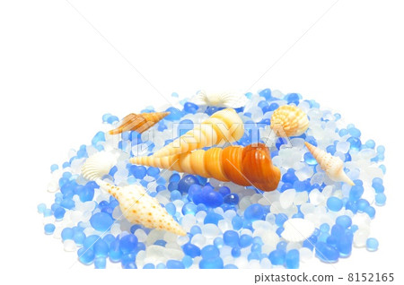 Glass and shells Glass and shells 8152165