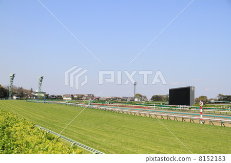 The final corner of Nakayama Racecourse on a sunny day The final corner of Nakayama Racecourse on a sunny day 8152183