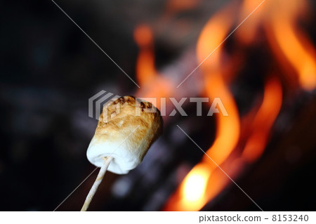 Grilled marshmallows 8153240