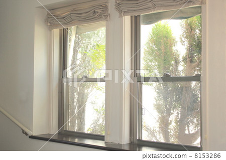 A window A window 8153286