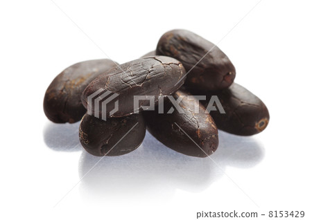 cocoa beans cocoa beans 8153429