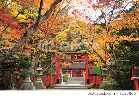 Ohara-shrine of Kyoto autumn leaves Ohara-shrine of Kyoto autumn leaves 8153806