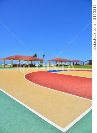 Basket Court 8153815