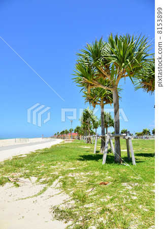 Toyosaki Miura SUN Beach 8153899