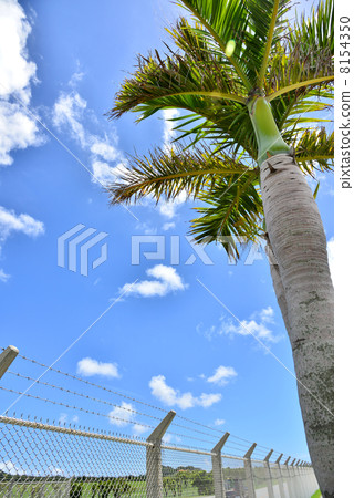 嘉手納基地 8154350